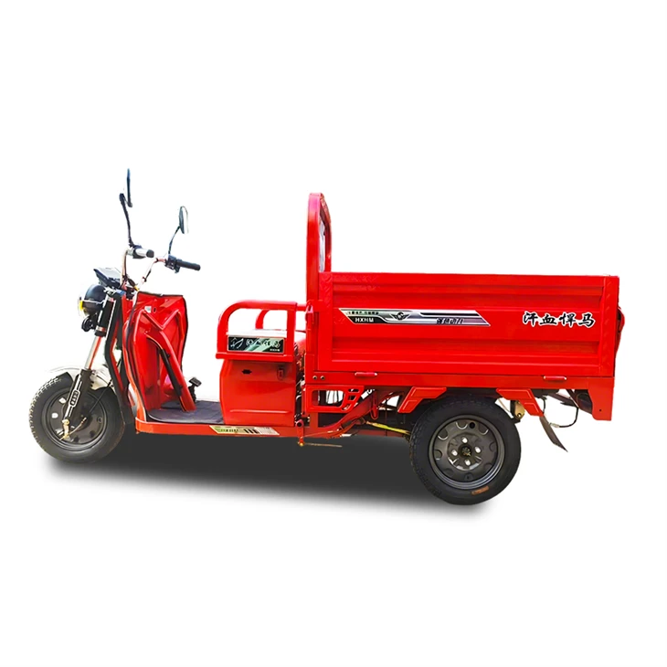 Endurance-Hauler Electric Cargo Tricycle best