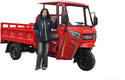 Pick-up à 3 roues Plantation Estate de 250 cm3