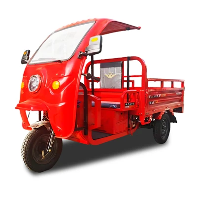 Tricycle cargo électrique HD-09 avec toit
